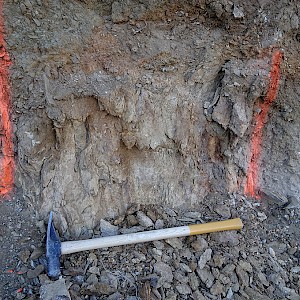 Jose Road Oxidized Shear